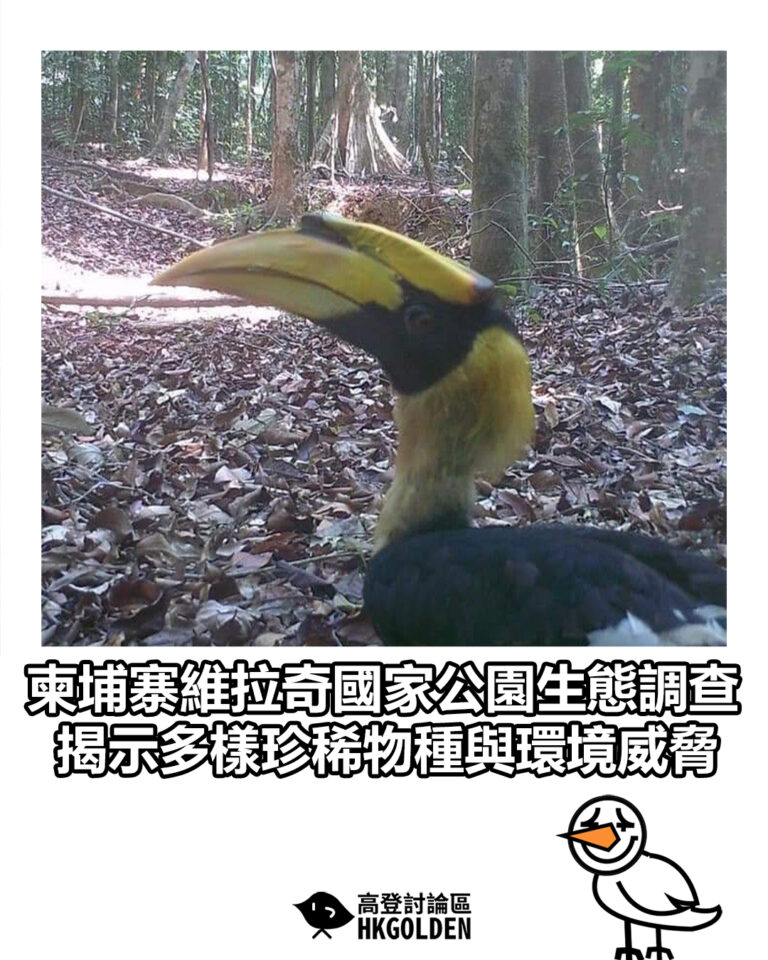 【柬埔寨維拉奇國家公園生態調查 揭示多樣珍稀物種與環境威脅】