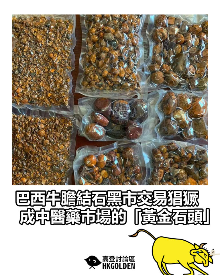 【巴西牛膽結石黑市交易猖獗　成中醫藥市場的「黃金石頭」】