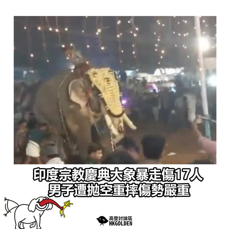 【印度宗教慶典大象暴走傷17人 男子遭拋空重摔傷勢嚴重】
