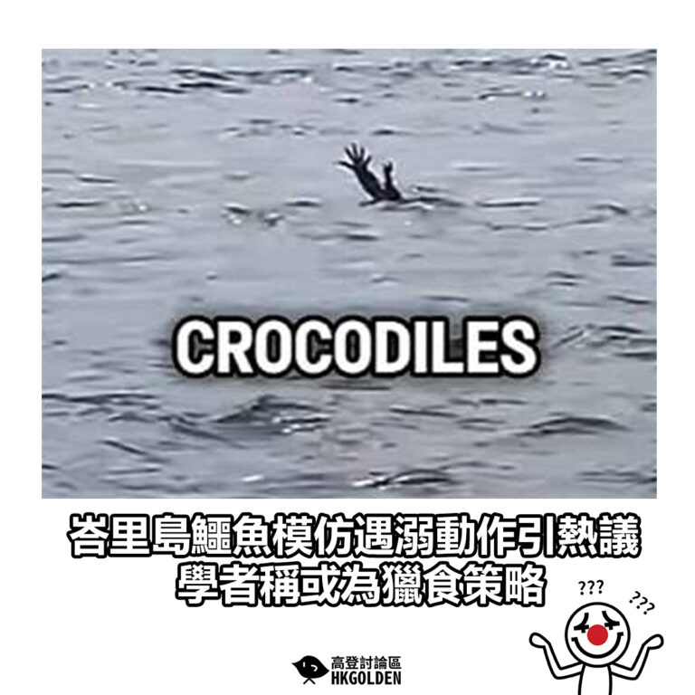 【峇里島鱷魚模仿遇溺動作引熱議 學者稱或為獵食策略】