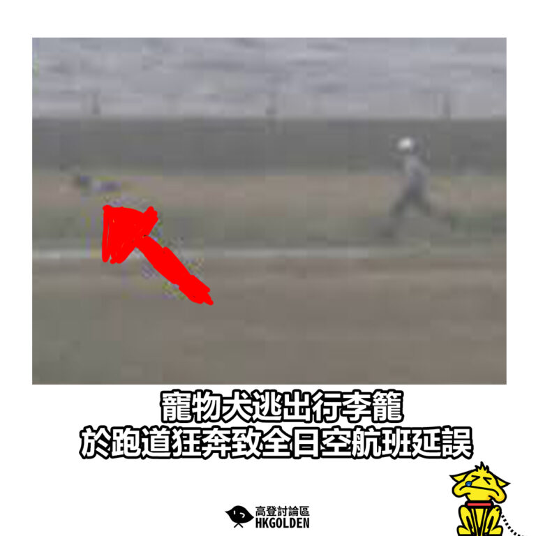 【寵物犬逃出行李籠 於跑道狂奔致全日空航班延誤】