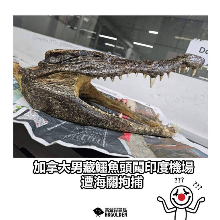【加拿大男藏鱷魚頭闖印度機場 遭海關拘捕】