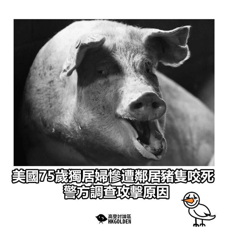 【美國75歲獨居婦慘遭鄰居豬隻咬死 警方調查攻擊原因】