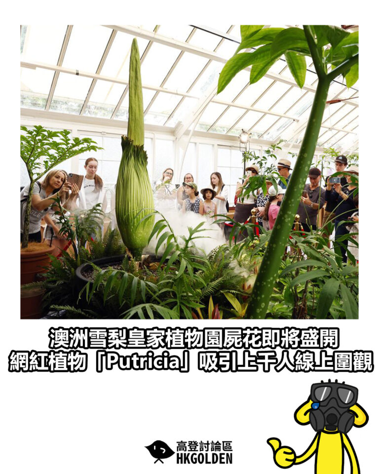 【澳洲雪梨皇家植物園屍花即將盛開 網紅植物「Putricia」吸引上千人線上圍觀】