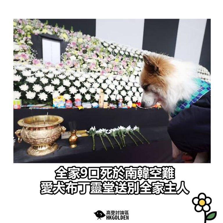 【全家9口死於南韓空難 愛犬布丁靈堂送別全家主人】