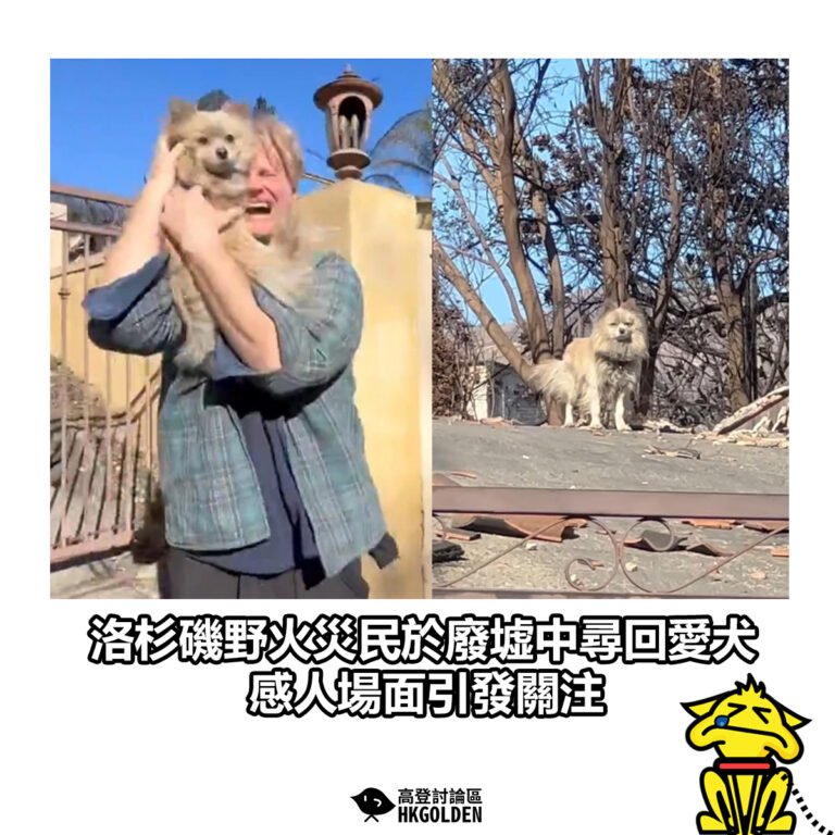 【洛杉磯野火災民於廢墟中尋回愛犬 感人場面引發關注】