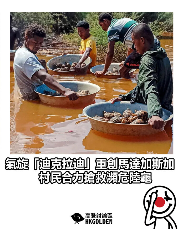 【氣旋「迪克拉迪」重創馬達加斯加 村民合力搶救瀕危陸龜】