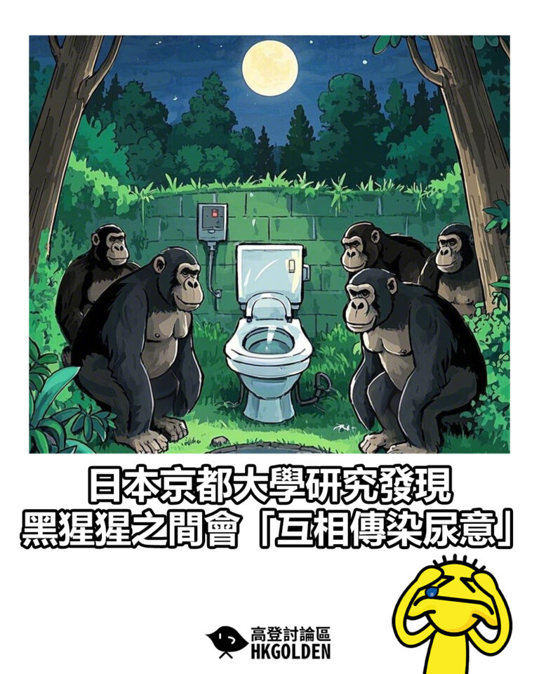 【日本京都大學研究發現  黑猩猩之間會「互相傳染尿意」】