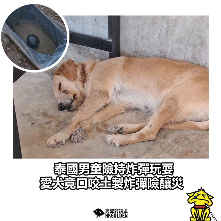 【泰國男童險持炸彈玩耍 愛犬竟口咬土製炸彈險釀災】