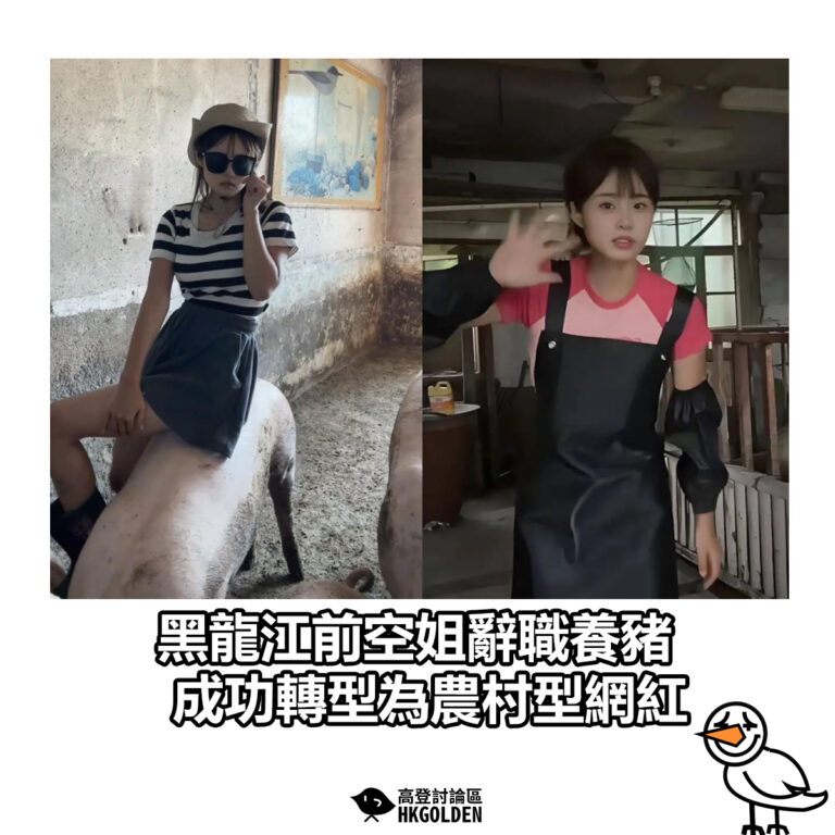 【黑龍江前空姐辭職養豬 成功轉型為農村型網紅】