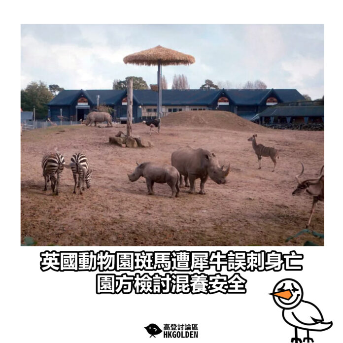 gsgsdgsa