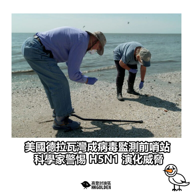 【美國德拉瓦灣成病毒監測前哨站　科學家警惕 H5N1 演化威脅】