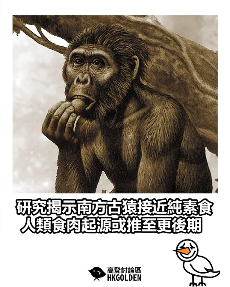 【研究揭示南方古猿接近純素食 人類食肉起源或推至更後期】
