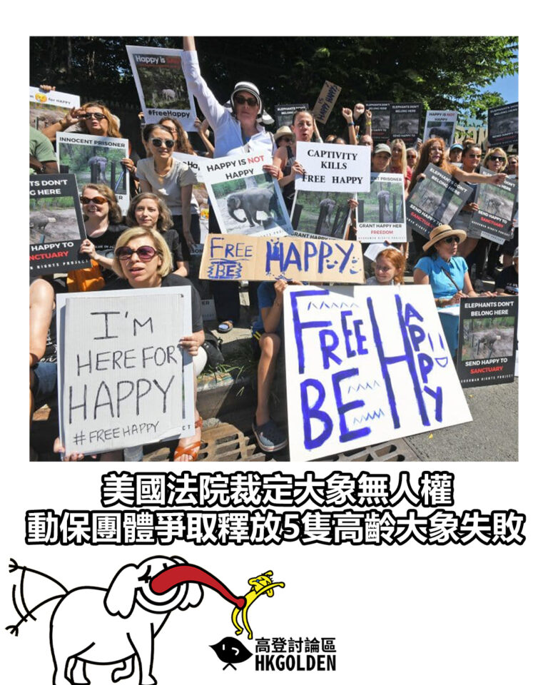【美國法院裁定大象無人權 動保團體爭取釋放5隻高齡大象失敗】