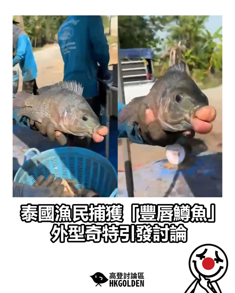 【泰國漁民捕獲「豐唇鱒魚」 外型奇特引發討論】