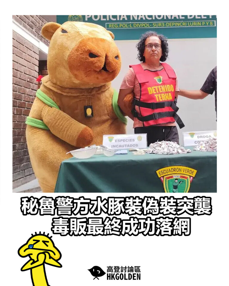 【秘魯警方水豚裝偽裝突襲 毒販最終成功落網】