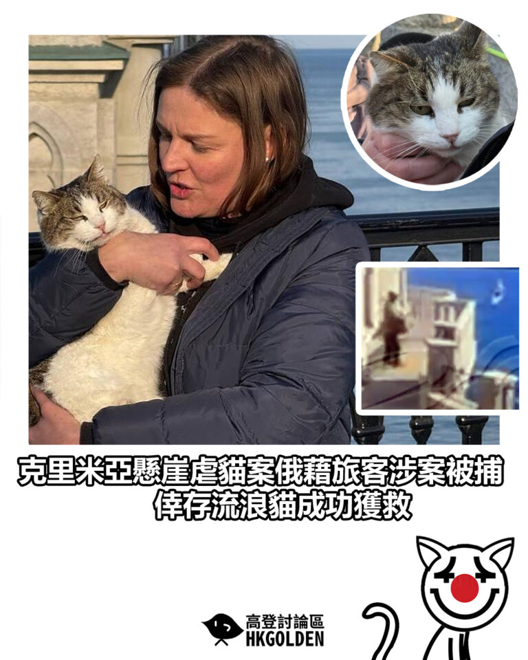 【克里米亞懸崖虐貓案俄藉旅客涉案被捕 倖存流浪貓成功獲救】