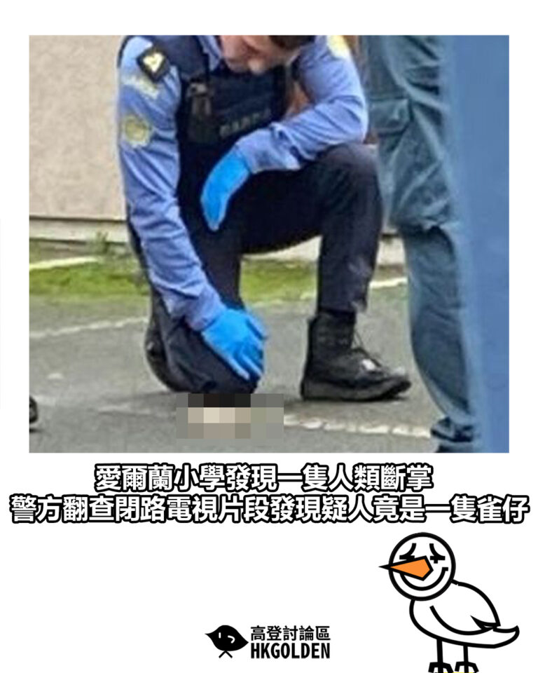 【愛爾蘭小學發現一隻人類斷掌 警方翻查閉路電視片段發現疑人竟是一隻雀仔】