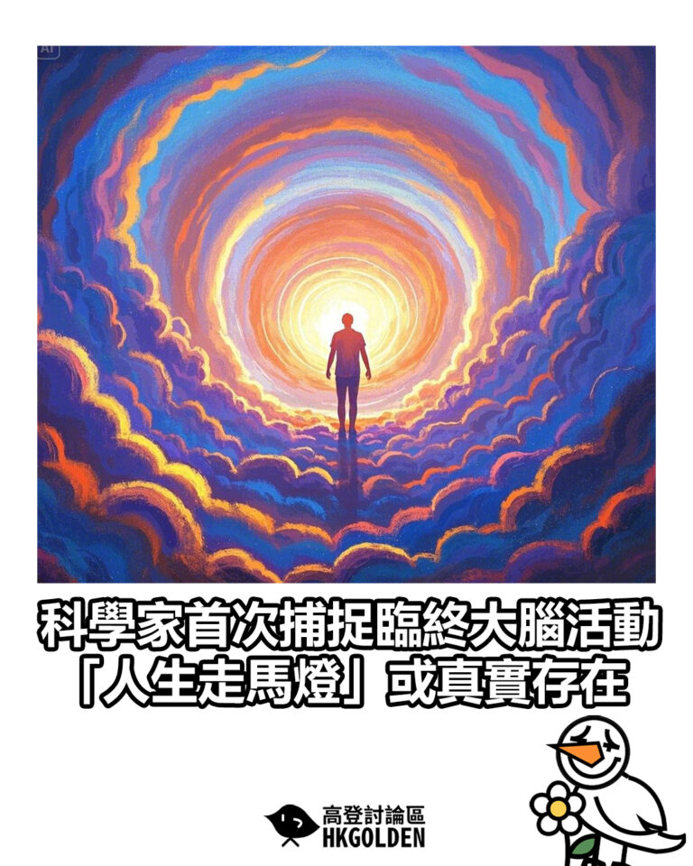 【科學家首次捕捉臨終大腦活動 「人生走馬燈」或真實存在】