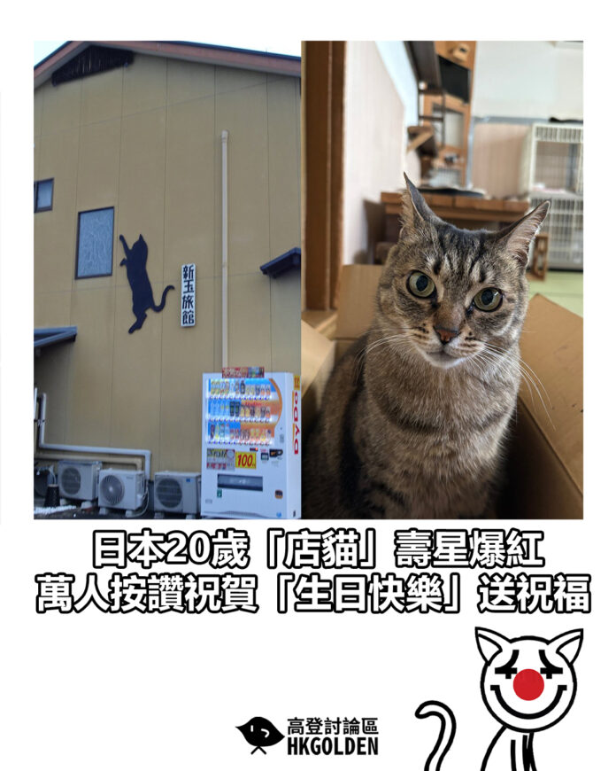 dsggsds