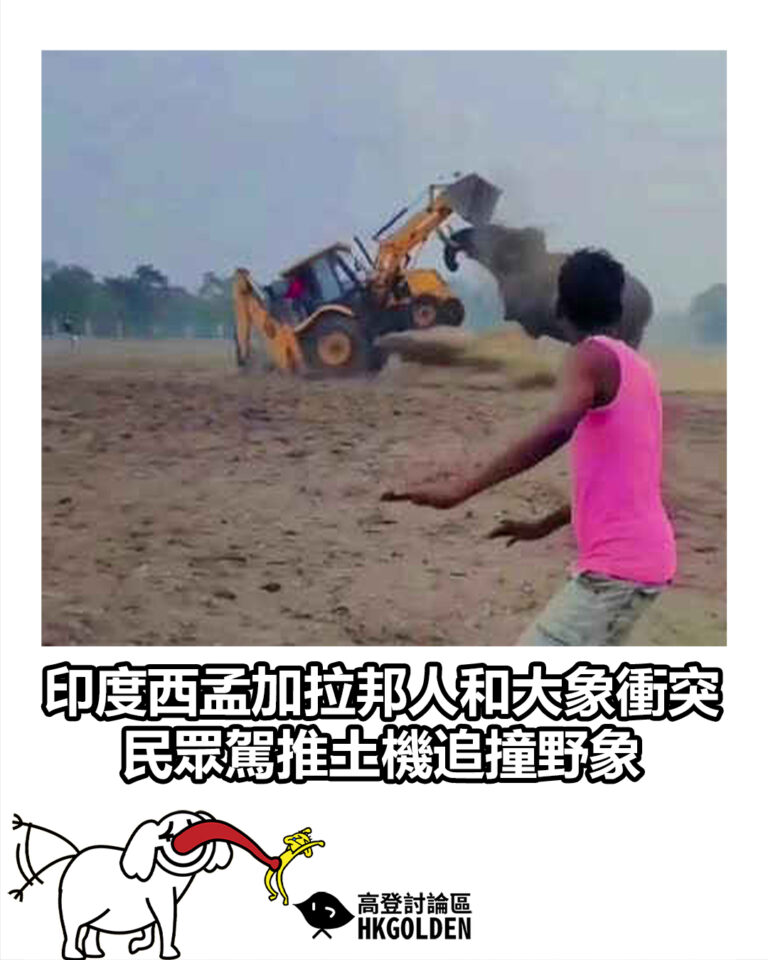 【印度西孟加拉邦人和大象衝突 民眾駕推土機追撞野象】