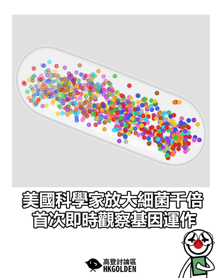 【美國科學家放大細菌千倍 首次即時觀察基因運作】