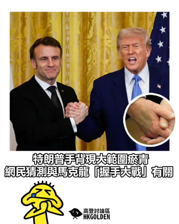 dsgsdgsgsa