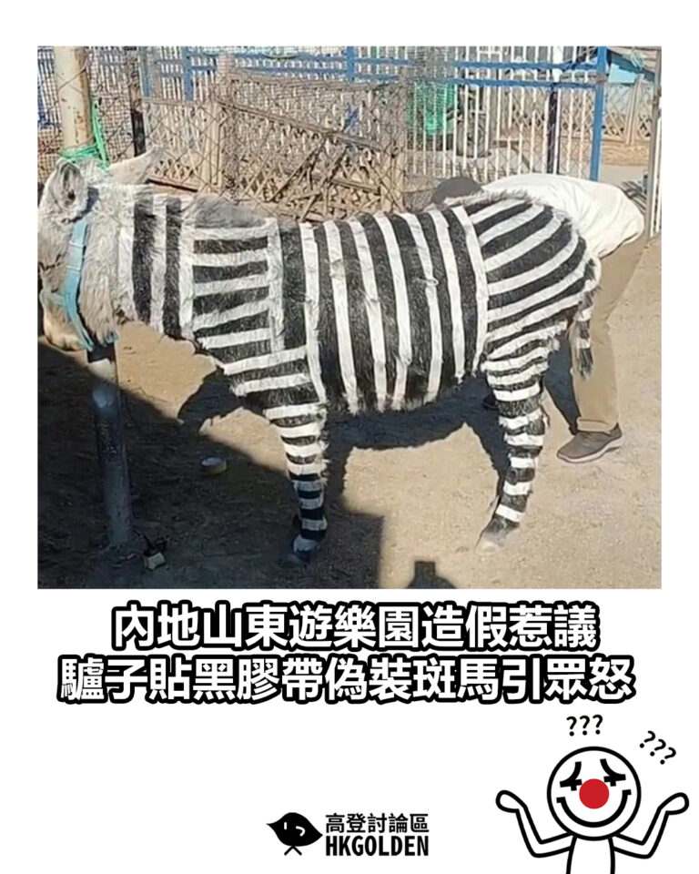 【內地山東遊樂園造假惹議 驢子貼黑膠帶偽裝斑馬引眾怒】