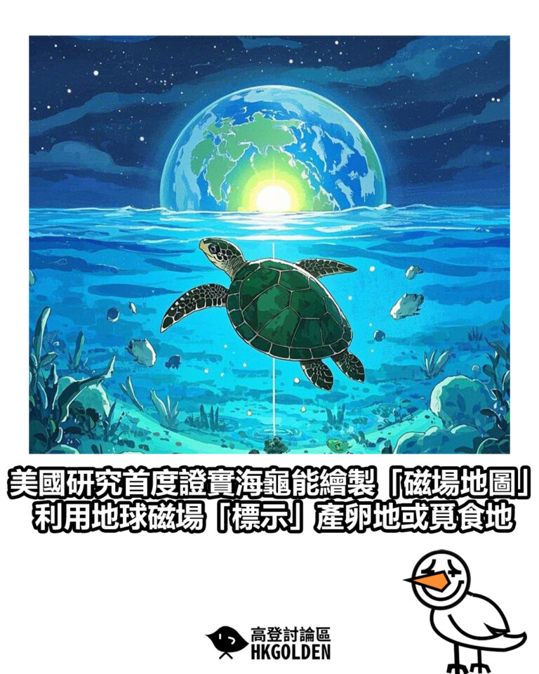 【美國研究首度證實海龜能繪製「磁場地圖」 利用地球磁場「標示」產卵地或覓食地】