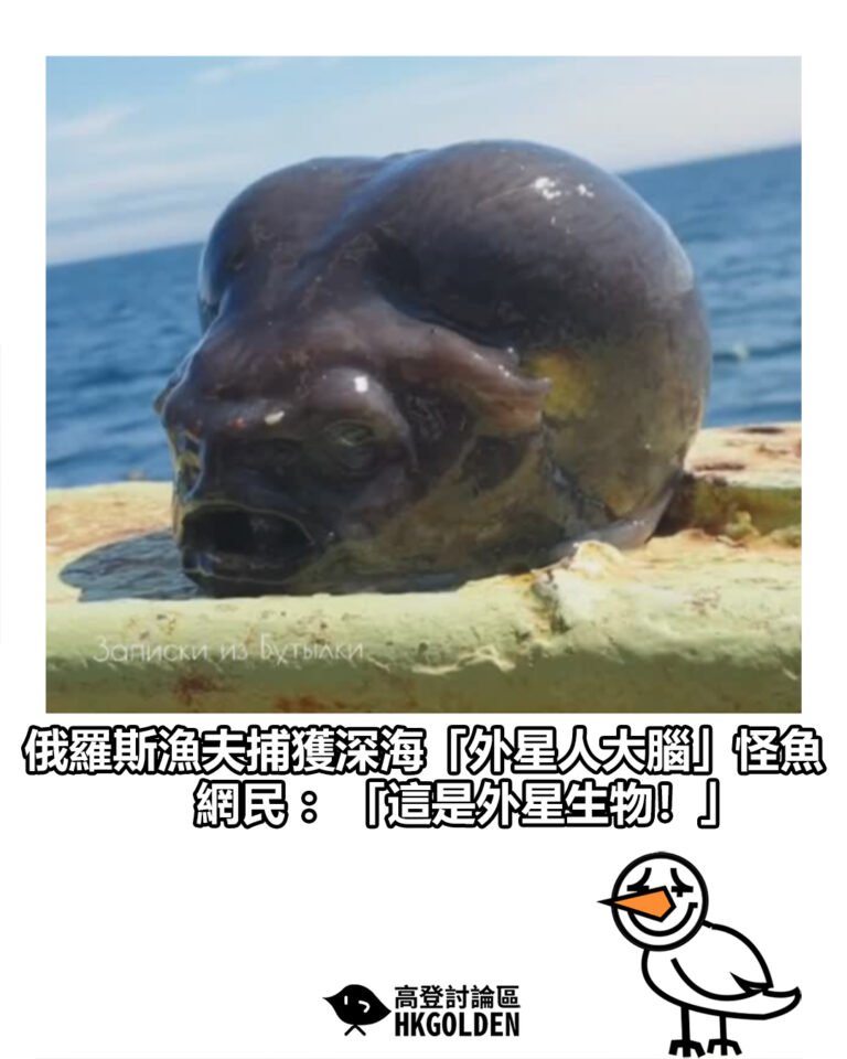 【俄羅斯漁夫捕獲深海「外星人大腦」怪魚 網民：「這是外星生物！」】