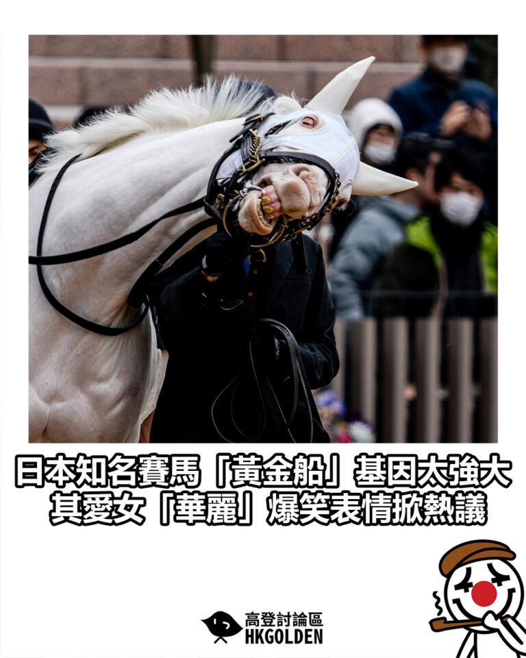 【日本知名賽馬「黃金船」基因太強大 其愛女「華麗」爆笑表情掀熱議】