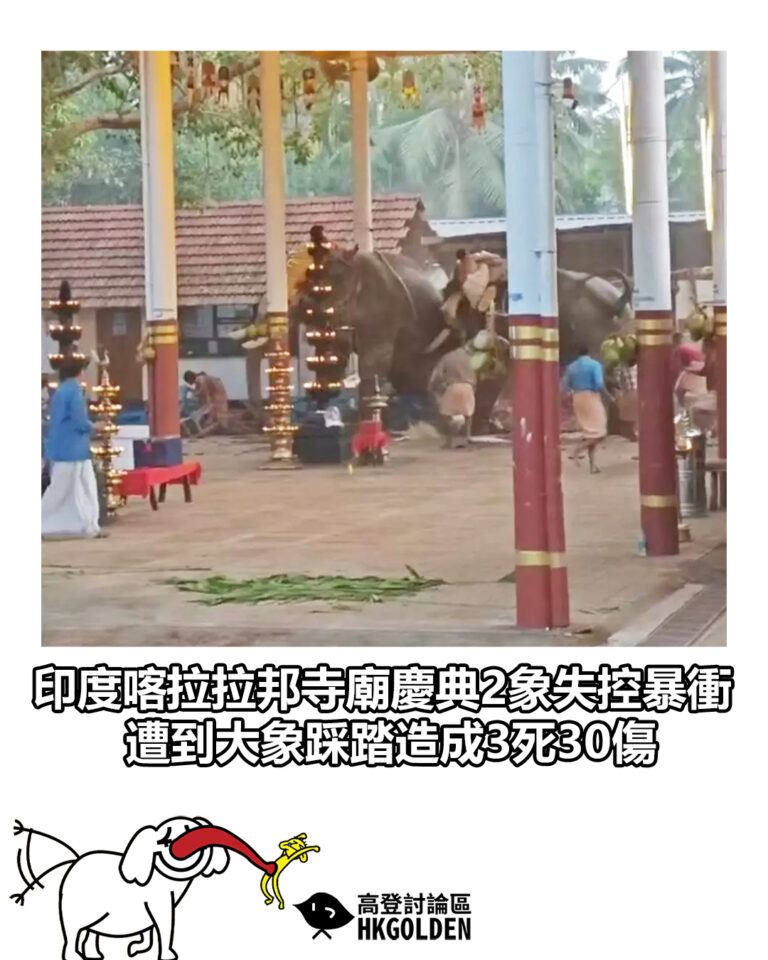 【印度喀拉拉邦寺廟慶典2象失控暴衝 遭到大象踩踏造成3死30傷】
