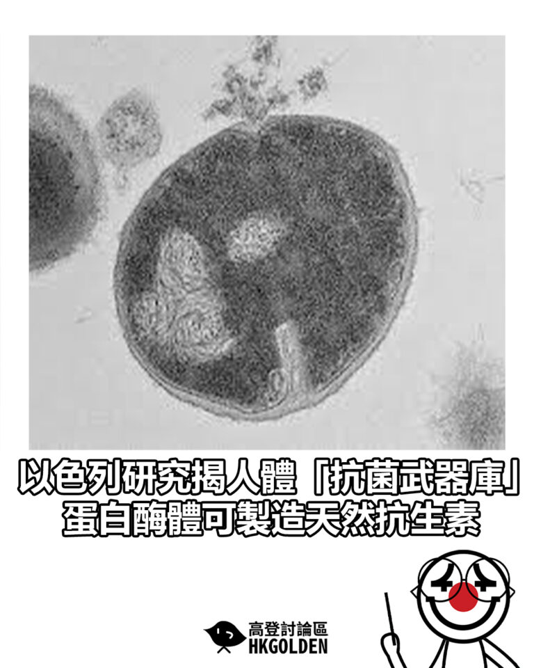 【以色列研究揭人體「抗菌武器庫」　蛋白酶體可製造天然抗生素】