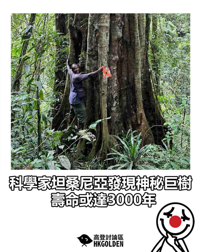 【科學家坦桑尼亞發現神秘巨樹 壽命或達3000年】