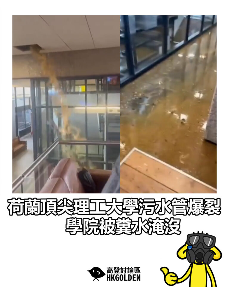 【荷蘭頂尖理工大學污水管爆裂 學院被糞水淹沒】