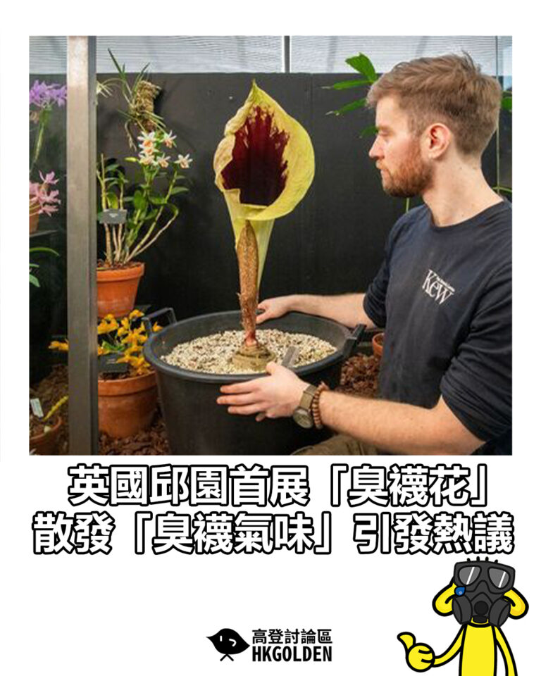 【英國邱園首展「臭襪花」 散發「臭襪氣味」引發熱議】