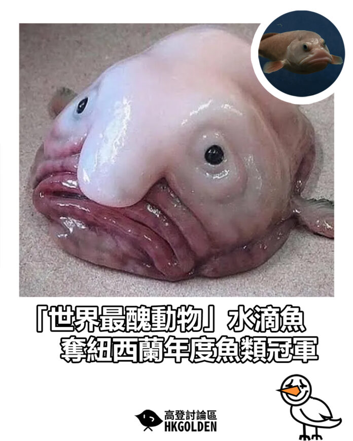 edwsgsgsgsdg