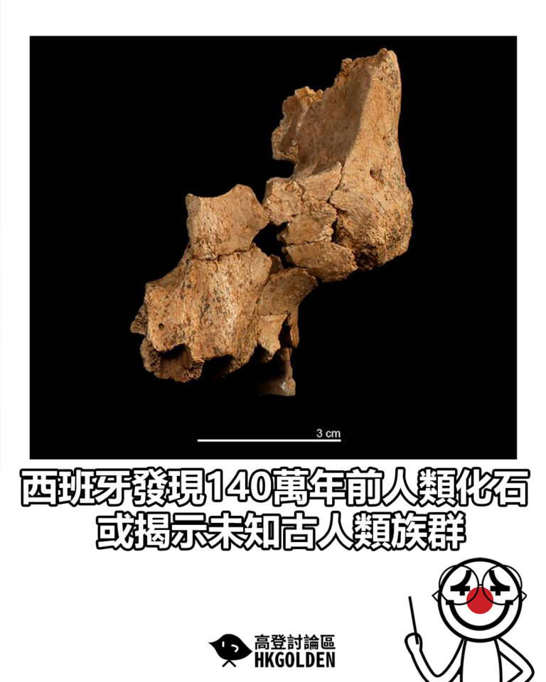 【西班牙發現140萬年前人類化石 或揭示未知古人類族群】