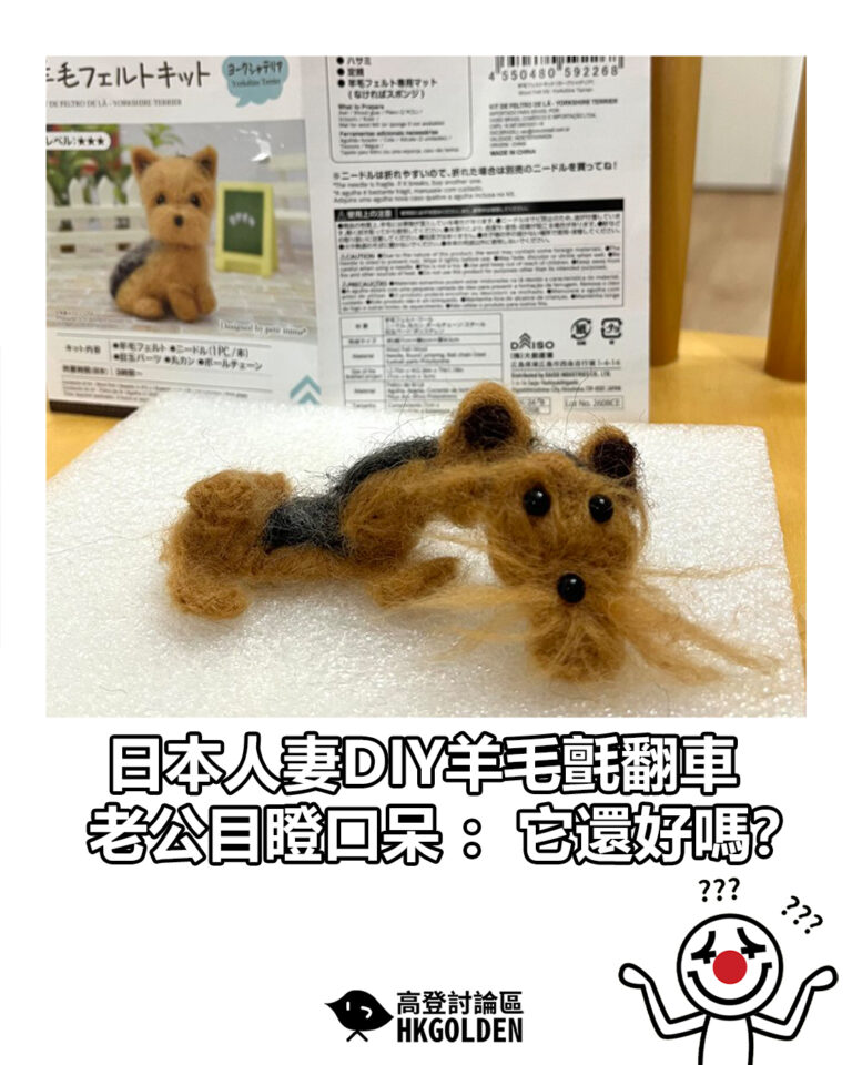 【日本人妻DIY羊毛氈翻車　老公目瞪口呆：它還好嗎？】