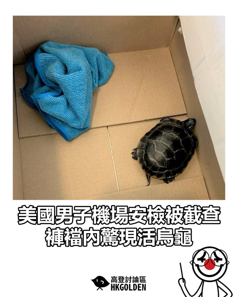 【美國男子機場安檢被截查　褲襠內驚現活烏龜】