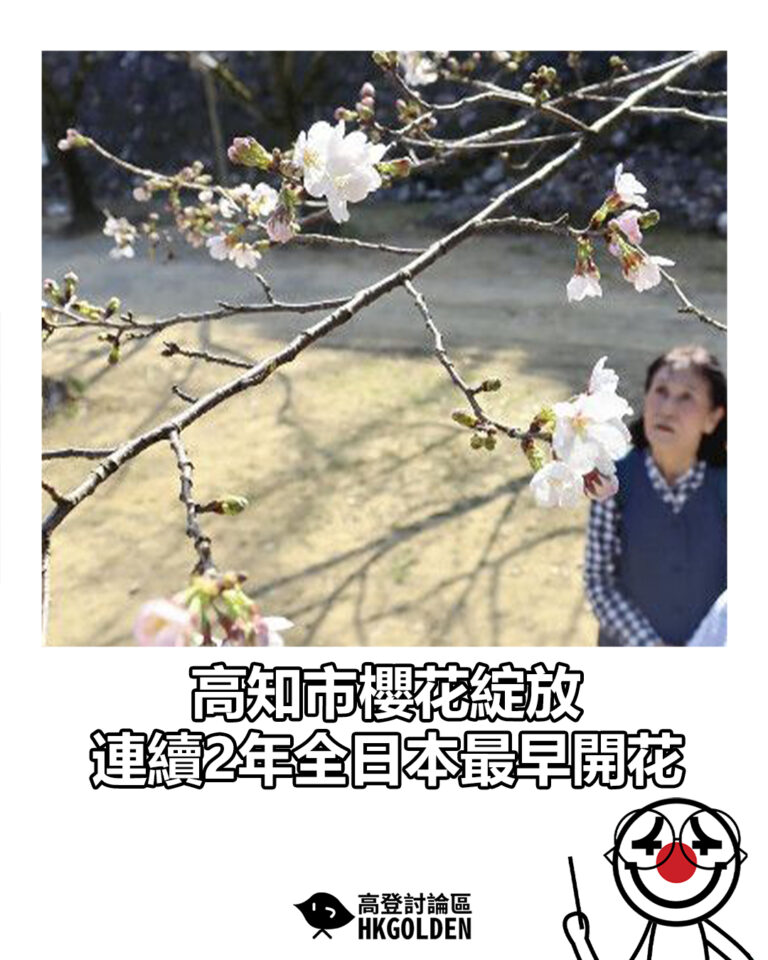 【高知市櫻花綻放 連續2年全日本最早開花】