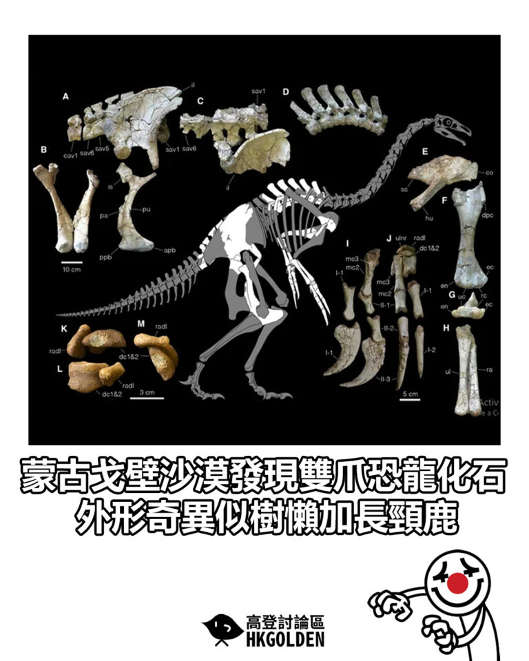 【蒙古戈壁沙漠發現雙爪恐龍化石　外形奇異似樹懶加長頸鹿】