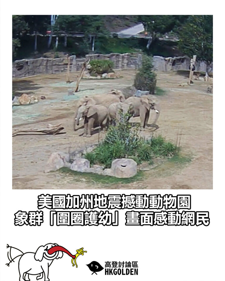 【美國加州地震撼動動物園　象群「圍圈護幼」畫面感動網民】