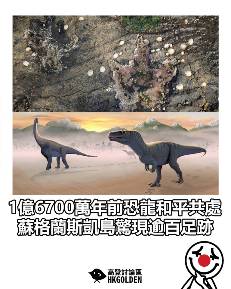 【1億6700萬年前恐龍和平共處　蘇格蘭斯凱島驚現逾百足跡】