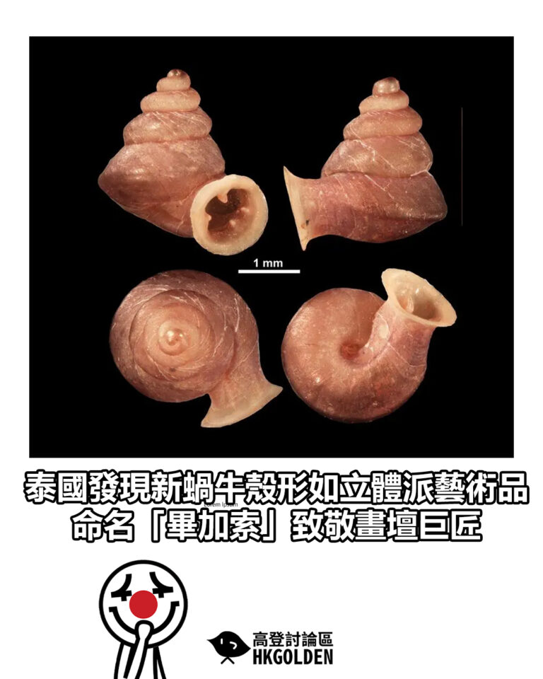 【泰國發現新蝸牛殼形如立體派藝術品　命名「畢加索」致敬畫壇巨匠】