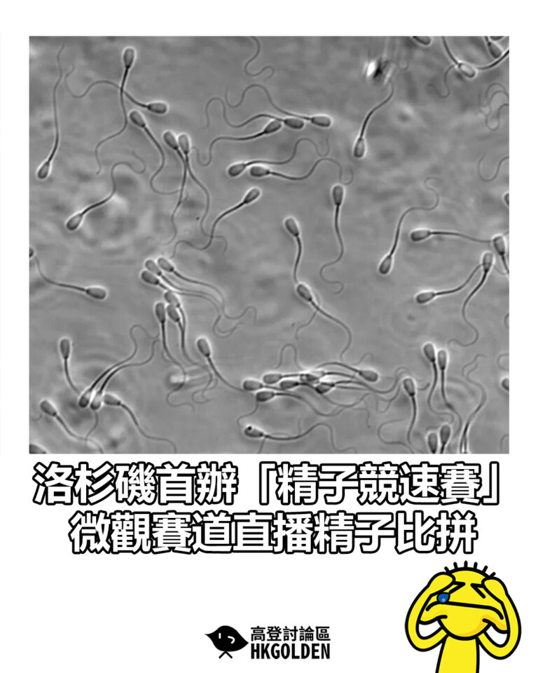 【洛杉磯首辦「精子競速賽」　微觀賽道直播精子比拼】
