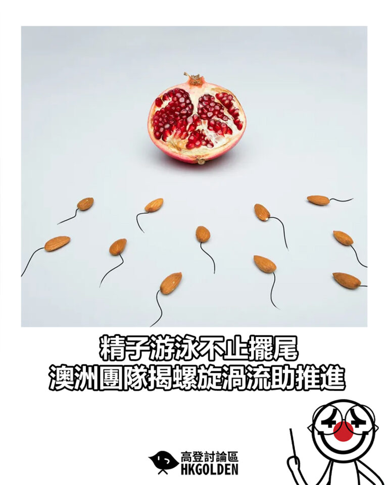 【精子游泳不止擺尾　澳洲團隊揭螺旋渦流助推進】
