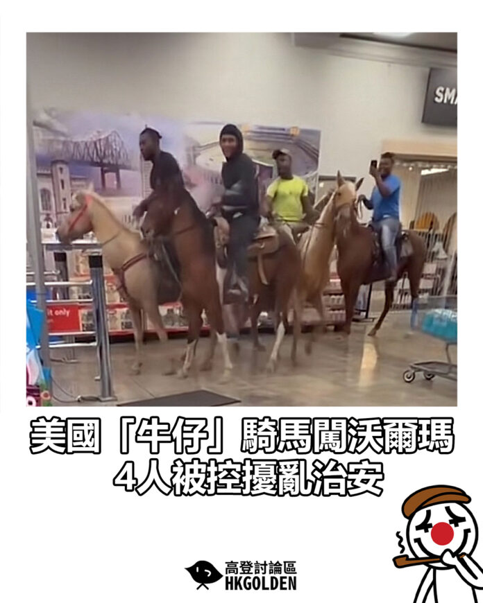 dsgsagsaga