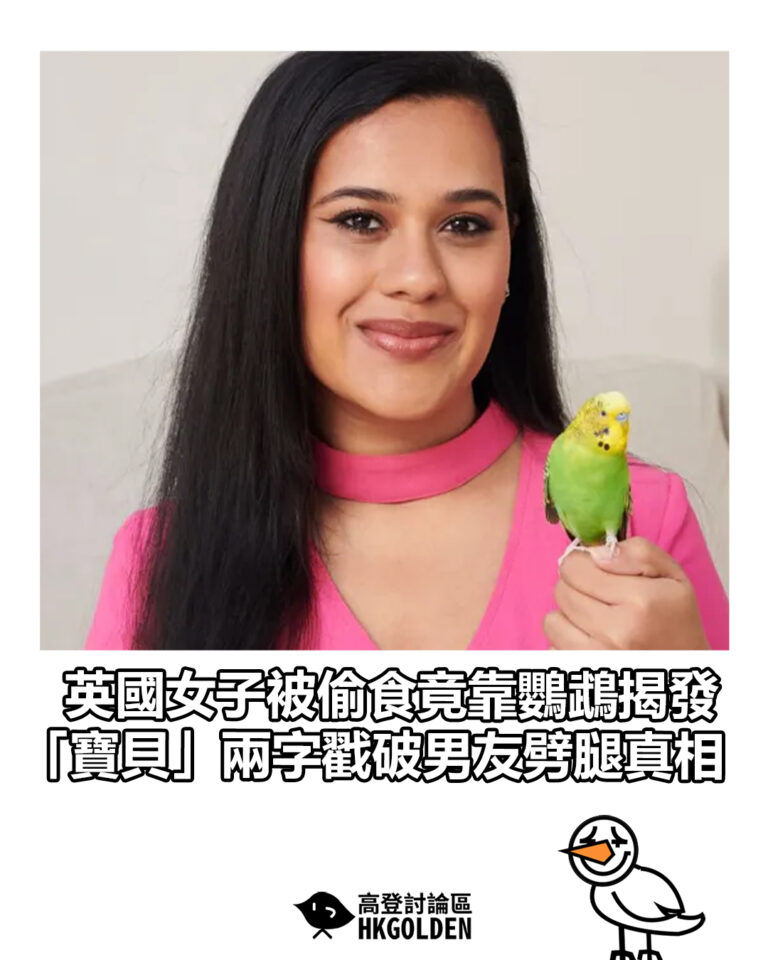【英國女子被偷食竟靠鸚鵡揭發　「寶貝」兩字戳破男友劈腿真相】