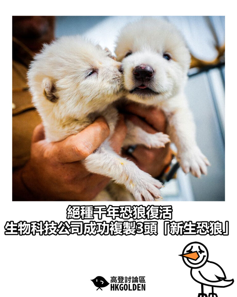 【絕種千年恐狼復活　生物科技公司成功複製3頭「新生恐狼」】